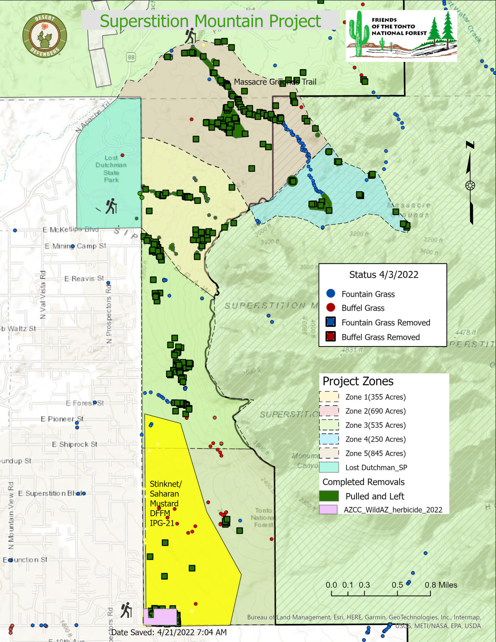 Friends Of The Tonto National Forest Volunteer On The Tonto Superstition Mountain Project 4 3 2022 1583x2048 