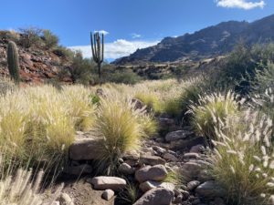 Volunteer Spotlight