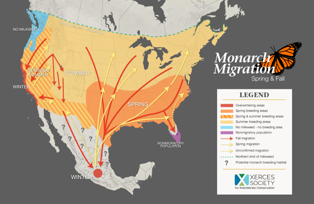 Monarch migration map from Xerces Society