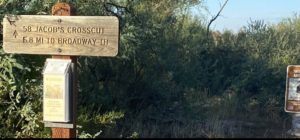 Outreach: Invasive Plants Awareness
