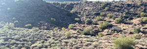 Superstition Mountains Removal Event 12/10/2022