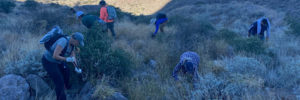 Removal Event in Superstition Mtns. Nov. 26