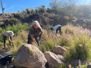 Invasive Plant Management 2022-23 Season Wrap Up
